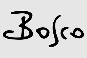 Наклейка - Bosco