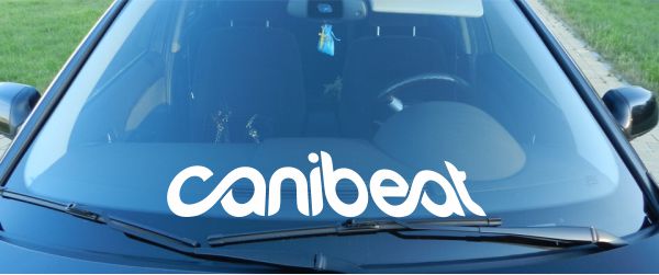 Наклейка - Canibeat