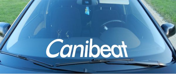 Наклейка - Canibeat 2
