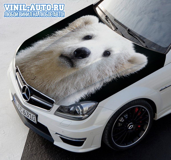 Винилография на капот - White Bear Car