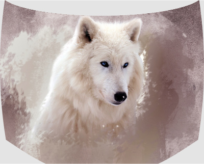 Винилография на капот -  Белый волк