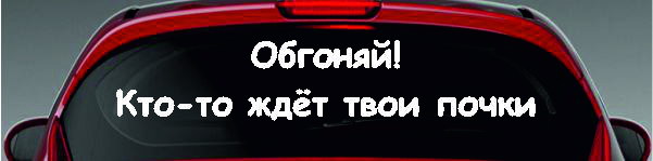 Наклейка - Обгоняй! Кто-то ждет твои почки