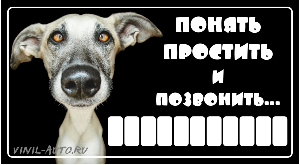Понять простить картинки смешные